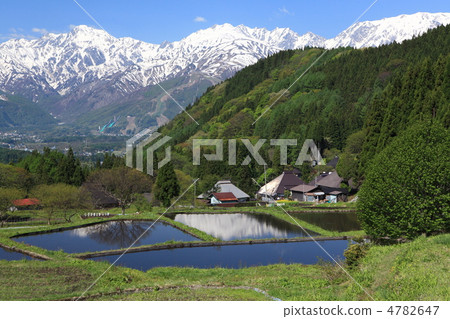 Spring Blue Demon Settlement Spring Blue Demon Settlement 4782647