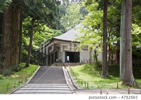 Fresh green Chusonji temple Kanedo Kuido 4782665
