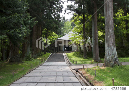 Fresh green Chusonji temple Kanedo Kuido Fresh green Chusonji temple Kanedo Kuido 4782666