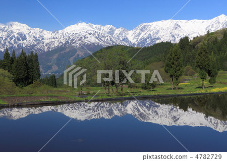 Spring rice terrace 4782729