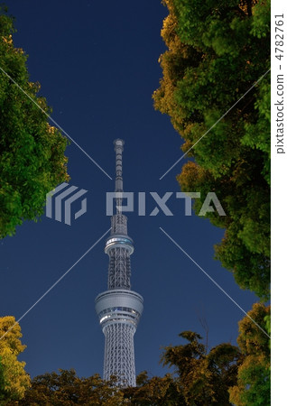 東京天空樹 4782761