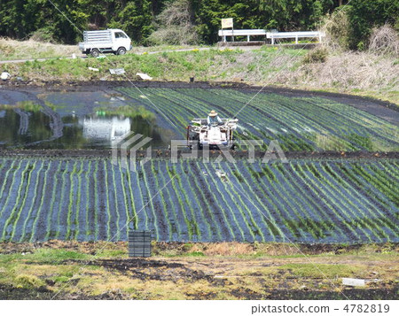 Rice Planting in May 4782819