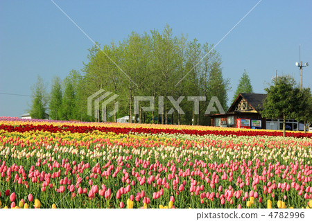Sera Highland Farm 3 Sera Highland Farm 3 4782996