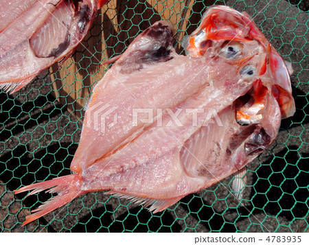 Dried kimono sea bream 4783935