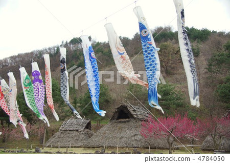 上野村歷史公園（鯉魚旗） 4784050