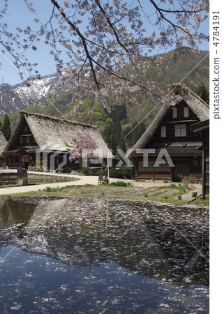 Village of Gokayama 4784191