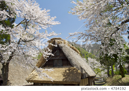 Village of Gokayama 4784192