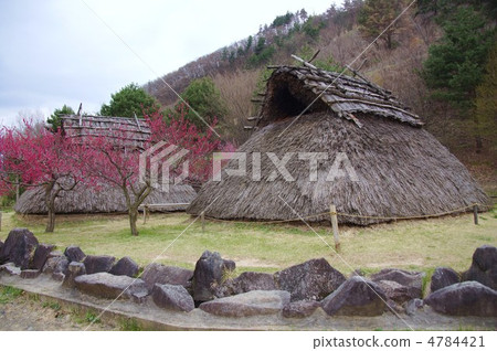 上野村歷史公園（鮮花也是） 4784421