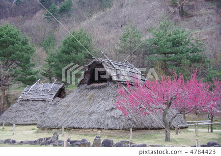 上野村歷史公園（鮮花也是） 4784423