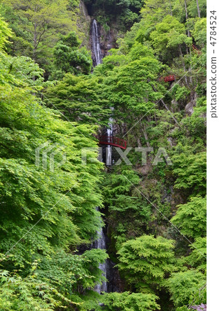Gotaba Waterfall Gotaba Waterfall 4784524