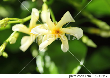 A corner of a city 4784947