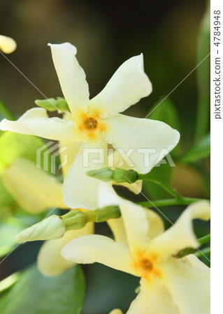 A corner of a city 4784948