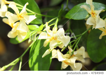 A corner of a city 4784949