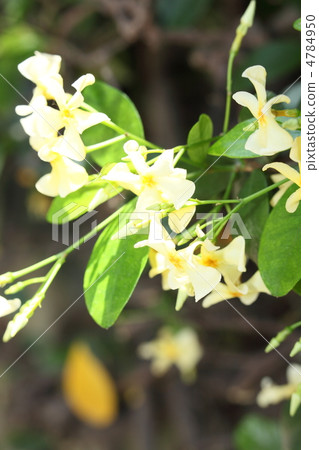 A corner of a city 4784950