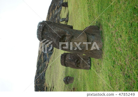 Moai Moai 4785249