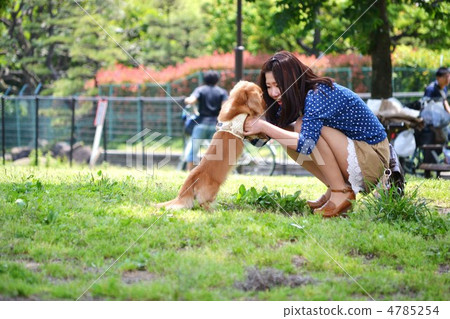 不要跑。 不要跑。 4785254