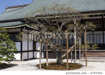 京都大宮皇宮Ochonin-dori和南花園的紅色銀杏 4785483