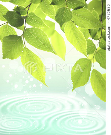 新鮮的綠色和水面 新鮮的綠色和水面 4785686