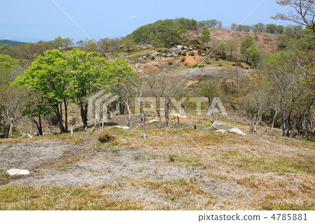 North of Classica North of Classica 4785881