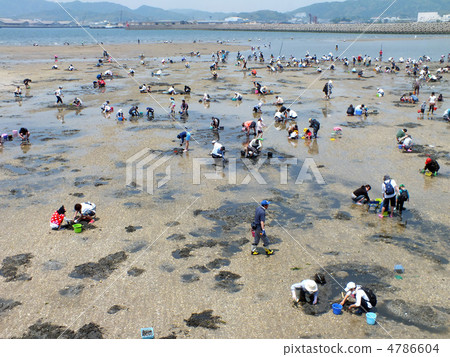 Clamming Clamming 4786604