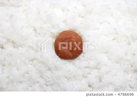 Hino Circle Bento Hino Circle Bento 4786696