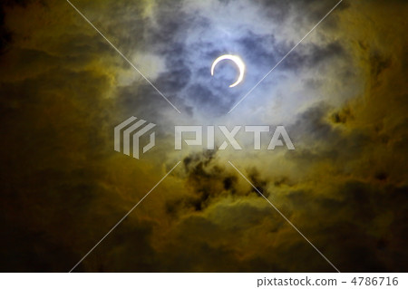 神奇的偏食 4786716