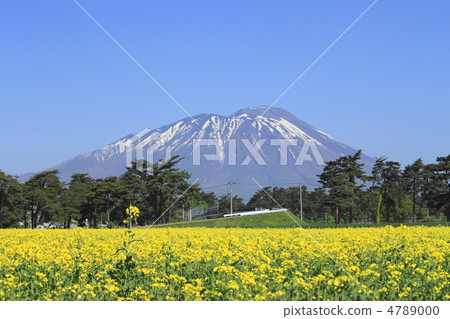 岩手山和油菜田 岩手山和油菜田 4789000
