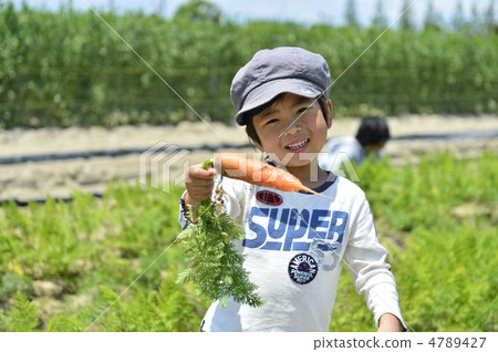 Food education Food education 4789427
