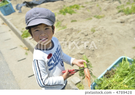 食品教育 4789428