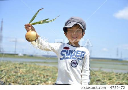 食品教育 4789472