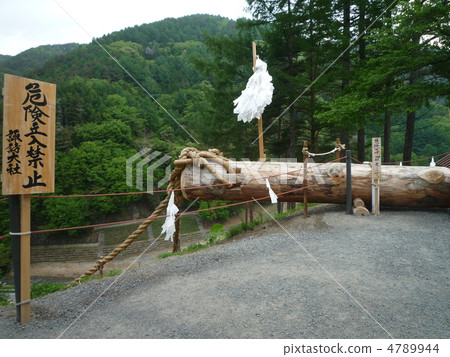 你的支柱 4789944