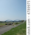 Fresh green bank 4789975