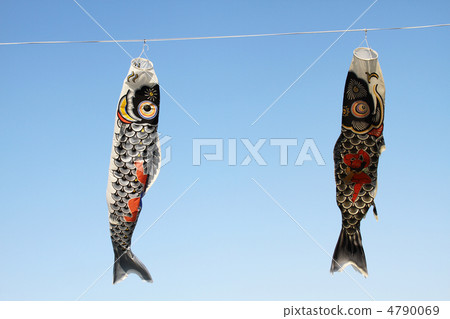 Carp streamer 4790069
