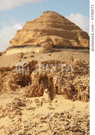 Wadi Al-Hitan Wadi Al-Hitan 4790071
