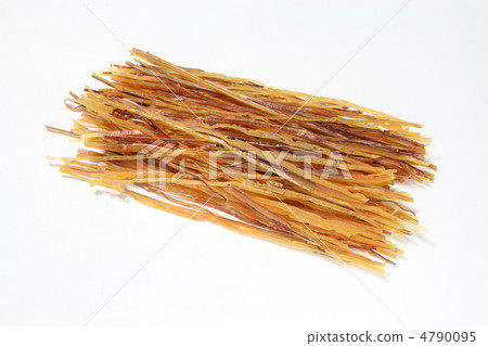 Squid Somen Squid Somen 4790095