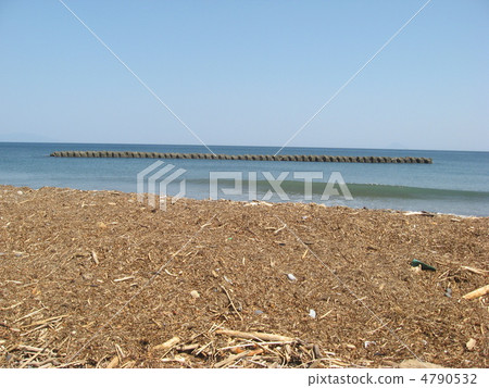 Coast with lots of wood scraps 4790532