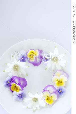 Spring flower  4790839