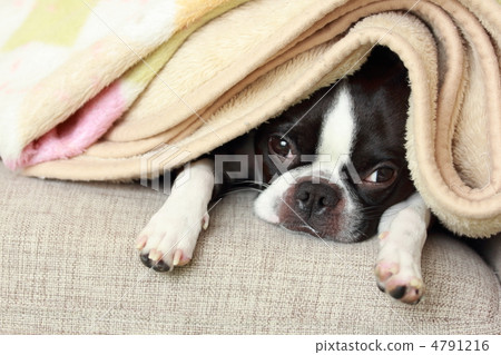 Going hiding Going hiding 4791216