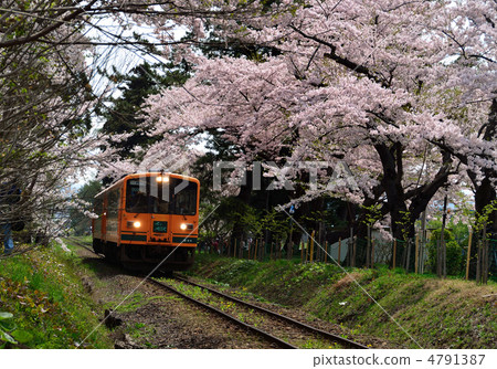 津輕鐵路 4791387