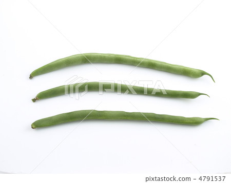 芸豆 芸豆 4791537