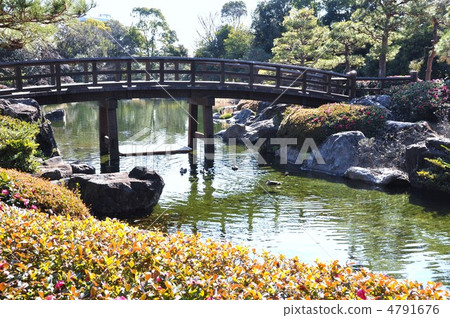 池塘在冬天天鵝庭院裡 4791676