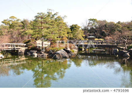 池塘在冬天天鵝庭院裡 4791696