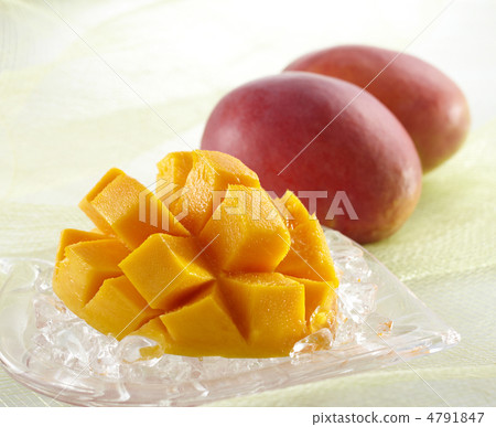 芒果果實4 4791847