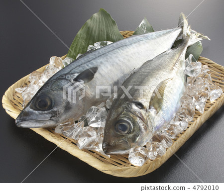 Mackerel and Mackerel 1 4792010