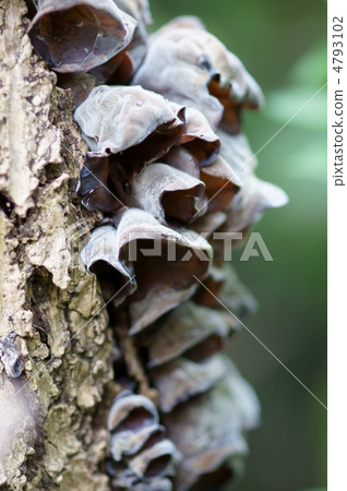 似乎有很多次它被作為殘酷的套期保值出售...... 似乎有很多次它被作為殘酷的套期保值出售...... 4793102