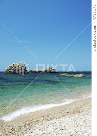 Sasagawa流動初夏的海岸 4795175