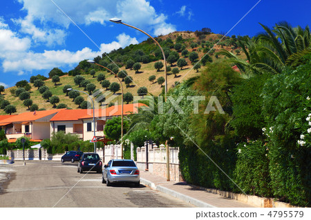 Cars park to sidewalks where are palm trees in residential area 4795579
