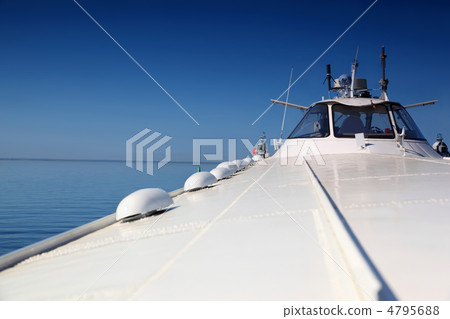 On hydrofoils  meteor swims in  day at  seaside 4795688