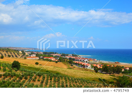 White houses on coast near hill with green trees and bushes White houses on coast near hill with green trees and bushes 4795749