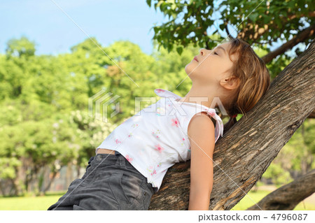 Little girl lies on caudex of tree Little girl lies on caudex of tree 4796087